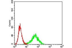 Flow cytometric analysis of Ramos cells using CD129 mouse mAb (green) and negative control (red).