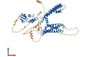 AlphaFold protein structure predicition of Human Recombinant KCNA3 Protein, UniprotID P22001