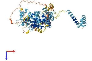 AlphaFold protein structure predicition of Mouse Recombinant Depdc7 Protein, UniprotID Q91WS7