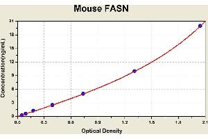 Diagramm of the ELISA kit to detect Mouse FASNwith the optical density on the x-axis and the concentration on the y-axis.