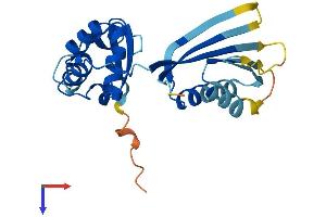 AlphaFold protein structure predicition of Mouse Recombinant Kctd6 Protein, UniprotID Q8BNL5