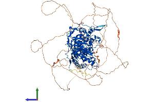 AlphaFold protein structure predicition of Mouse Recombinant Parg Protein, UniprotID O88622