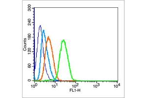 MCF7 cells were fixed with 70% ice-cold methanol overnight at 4℃, permeabilized with 90% ice-cold methanol for 20 min at -20℃, and incubated in 5% BSA blocking buffer for 30 min at room temperature.
