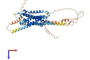 AlphaFold protein structure predicition of Human Recombinant HTR2B Protein, UniprotID P41595