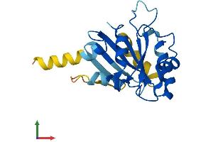 AlphaFold protein structure predicition of Mouse Recombinant Sar1a Protein, UniprotID P36536