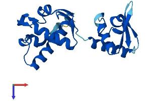 AlphaFold protein structure predicition of Human Recombinant VPS25 Protein, UniprotID Q9BRG1