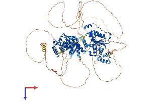 AlphaFold protein structure predicition of Mouse Recombinant N4bp1 Protein, UniprotID Q6A037