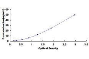 ELISA image for Protein Tyrosine Phosphatase-Like (Proline Instead of Catalytic Arginine), Member A (PTPLA) ELISA Kit (ABIN419288)