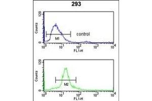 SSB Antibody (N-term) (ABIN1882133 and ABIN2839422) flow cytometry analysis of 293 cells (bottom histogram) compared to a negative control cell (top histogram).