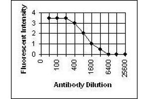 ELISA image for anti-Varicella Zoster Virus (GpII) (VZVgB) antibody (ABIN265604) (Varicella Zoster Virus (GpII) (VZVgB) anticorps)