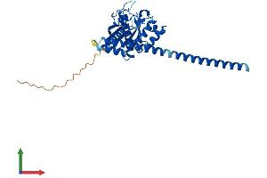 AlphaFold protein structure predicition of Human Recombinant GIMAP5 Protein, UniprotID Q96F15