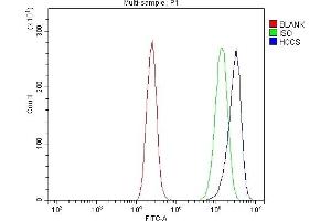 Flow Cytometry analysis of Caco-2 cells using anti-HCCS antibody (ABIN7602424). (HCCS anticorps  (AA 76-268))