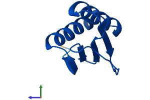 AlphaFold protein structure predicition of Human Recombinant DYNLL1 Protein, UniprotID P63167