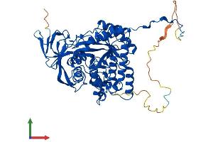 AlphaFold protein structure predicition of Mouse Recombinant Dpysl5 Protein, UniprotID Q9EQF6