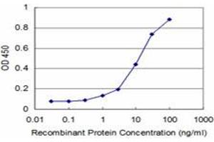 Detection limit for recombinant GST tagged NKX3-1 is approximately 1ng/ml as a capture antibody. (NKX3-1 anticorps  (AA 100-209))