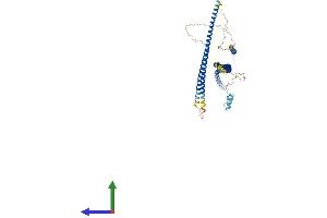 AlphaFold protein structure predicition of Mouse Recombinant Optn Protein, UniprotID Q8K3K8