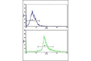 Flow cytometric analysis of HepG2 cells using Bax antibody (green) compared to a negative control cell (blue).