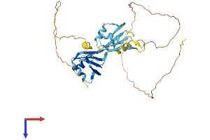 AlphaFold protein structure predicition of Human Recombinant HNRNPAB Protein, UniprotID Q99729