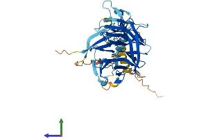 AlphaFold protein structure predicition of Mouse Recombinant Nhlrc1 Protein, UniprotID Q8BR37