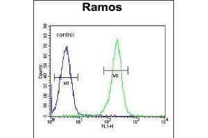 Flow cytometric analysis of Ramos cells (right histogram) compared to a negative control cell (left histogram). (PAX5 anticorps  (AA 178-207))