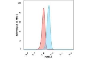 Flow Cytometric Analysis of U87 cells using CD195 Mouse Monoclonal Antibody (12D1), followed by goat anti-mouse IgG-CF488 (Blue), Isotype Control (Red).
