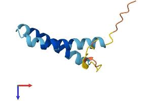 AlphaFold protein structure predicition of Human Recombinant SS18L2 Protein, UniprotID Q9UHA2