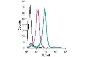 Cell surface detection of TREM2 in live intact human THP-1 monocytic leukemia cells: (black line) Cells.