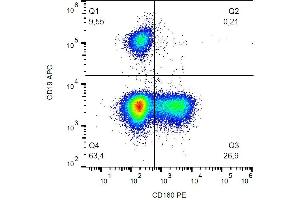 Surface staining of human peripheral blood cells with anti-CD160 (BY55) PE.