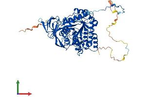 AlphaFold protein structure predicition of Human Recombinant DPYSL4 Protein, UniprotID O14531
