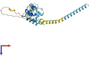 AlphaFold protein structure predicition of Mouse Recombinant Efhd1 Protein, UniprotID Q9D4J1