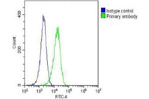 Overlay histogram showing Hela cells stained with (ABIN387816 and ABIN2843905)(green line). (EGFR anticorps)