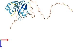 AlphaFold protein structure predicition of Human Recombinant SRSF9 Protein, UniprotID Q13242
