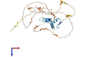 AlphaFold protein structure predicition of Mouse Recombinant Klf3 Protein, UniprotID Q60980