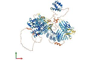 AlphaFold protein structure predicition of Mouse Recombinant Nlrp1b Protein, UniprotID Q0GKD5