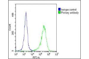 Overlay histogram showing HeLa cells stained with (ABIN392570 and ABIN2842109)(green line).