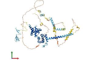 AlphaFold protein structure predicition of Mouse Recombinant Brf1 Protein, UniprotID Q8CFK2