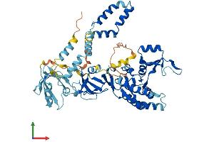 AlphaFold protein structure predicition of Mouse Recombinant Mpp2 Protein, UniprotID Q9WV34