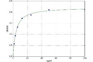 A typical standard curve (COL27A1 Kit ELISA)