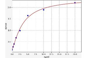 Typical standard curve (S100A16 Kit ELISA)