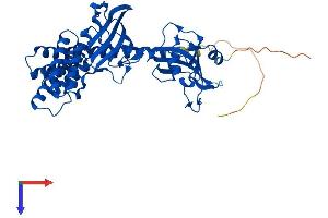 AlphaFold protein structure predicition of Human Recombinant FKBP5 Protein, UniprotID Q13451