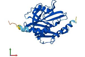 AlphaFold protein structure predicition of Human Recombinant NUDT7 Protein, UniprotID P0C024