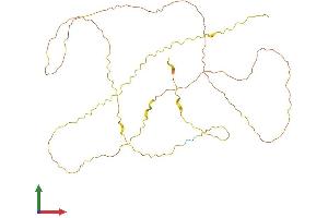 AlphaFold protein structure predicition of Mouse Recombinant Erich5 Protein, UniprotID Q8K0S2 (ERICH5 (AA 1-362) protein (His tag))