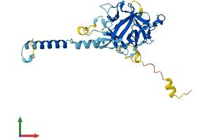 AlphaFold protein structure predicition of Mouse Recombinant Cfap161 Protein, UniprotID Q6P8Y0