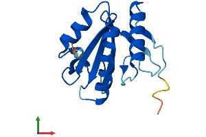 AlphaFold protein structure predicition of Mouse Recombinant Txnl4a Protein, UniprotID P83877