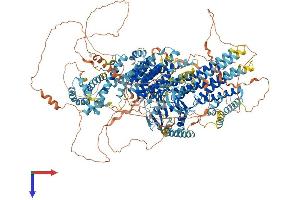 AlphaFold protein structure predicition of Mouse Recombinant Map3k4 Protein, UniprotID O08648