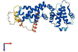 AlphaFold protein structure predicition of Mouse Recombinant Fbxo8 Protein, UniprotID Q9QZN3