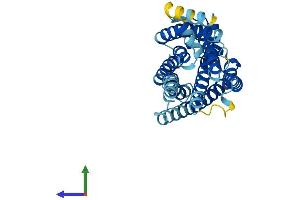 AlphaFold protein structure predicition of Human Recombinant GPR171 Protein, UniprotID O14626
