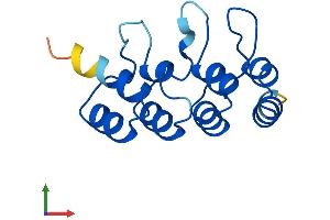 AlphaFold protein structure predicition of Mouse Recombinant Cdkn2b Protein, UniprotID P55271
