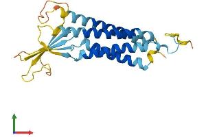 AlphaFold protein structure predicition of Mouse Recombinant Cacng1 Protein, UniprotID O70578