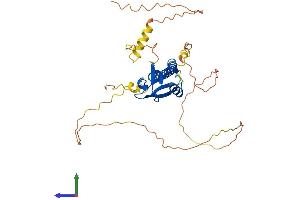 AlphaFold protein structure predicition of Human Recombinant CYTIP Protein, UniprotID O60759